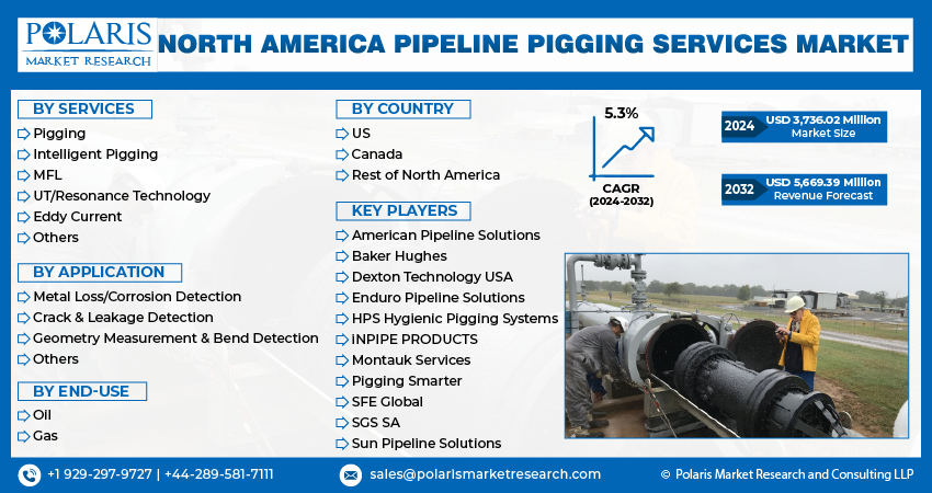 North America Pipeline Pigging Services Market info